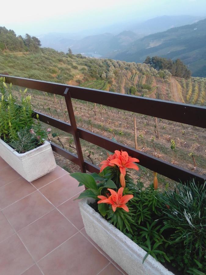 Hotel Quinta Pedreira Dos Anjos à Provesende Extérieur photo